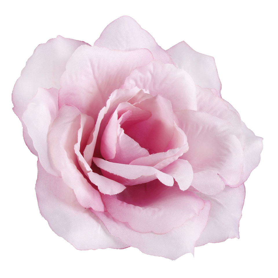 Róża francuska, T.T. Pink W087-07