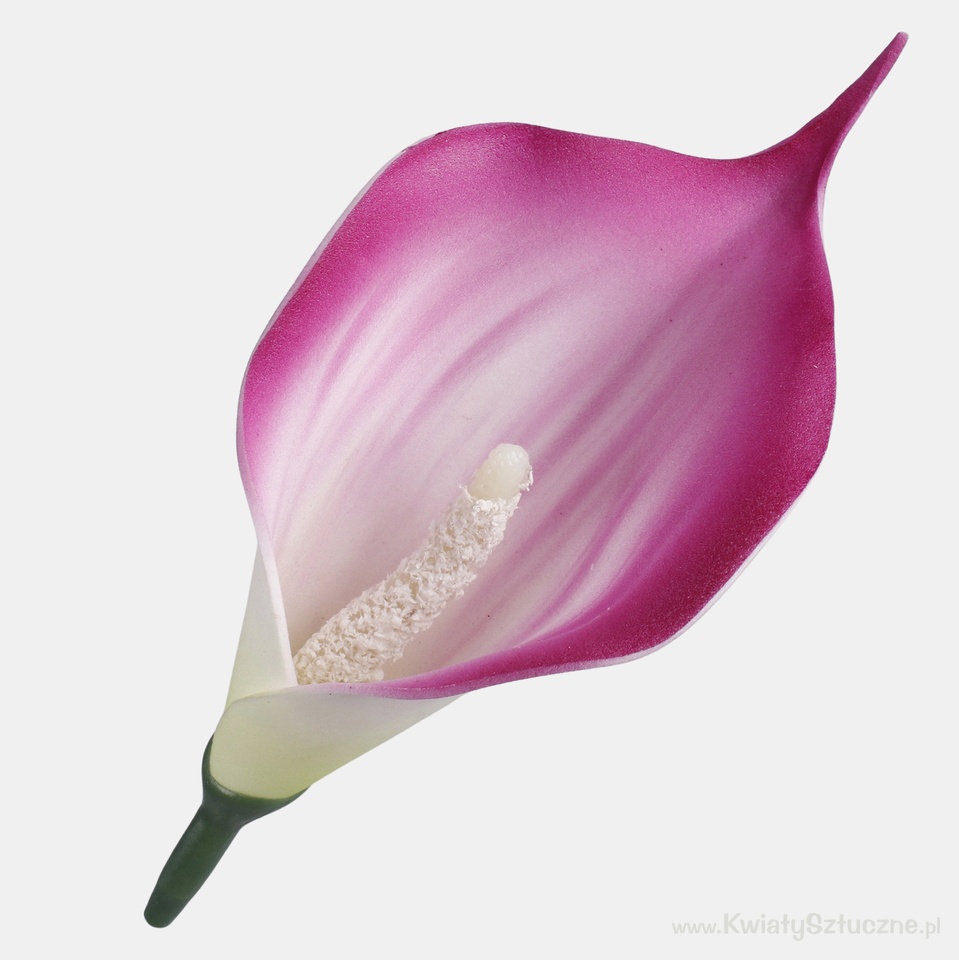 Mini foam calla, Burgundy/Green W731-05
