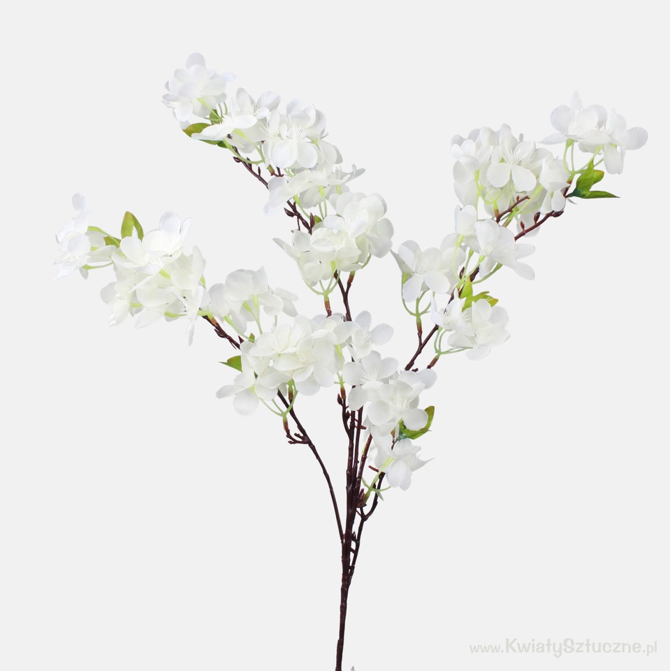 Cherry-tree, Cream L237-02