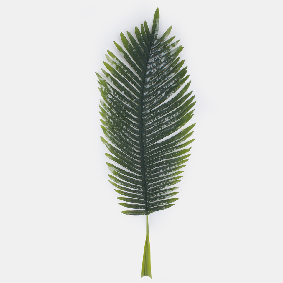 Palm leaf, Green F119
