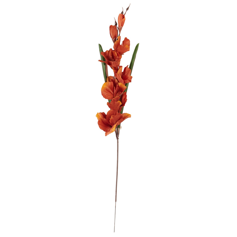 Mieczyk - gałązka 63 cm, 24 orange brown AL183-23