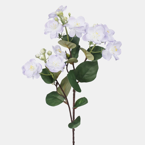 Jasmine, Lilac G479-05
