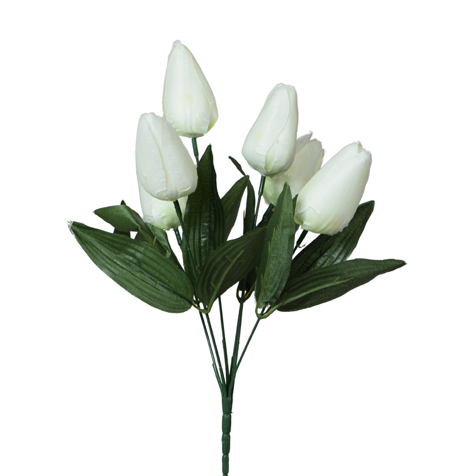Tulipany - bukiet x6 35 cm, m U122-m