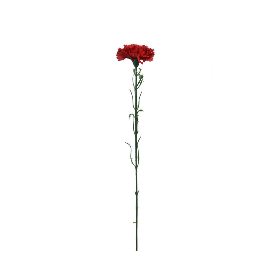 Goździk - gałązka 54 cm, m2 GK148-m2