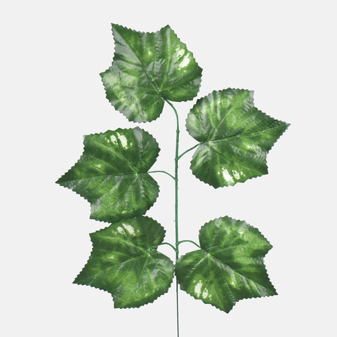 Maple, Green F243-01