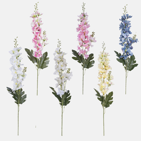 Delphinium BK244