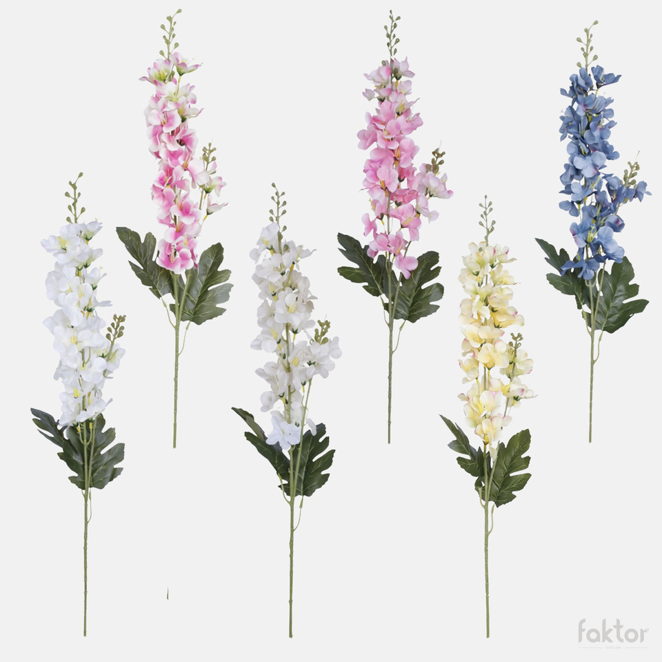 Delphinium, Mix BK244-01