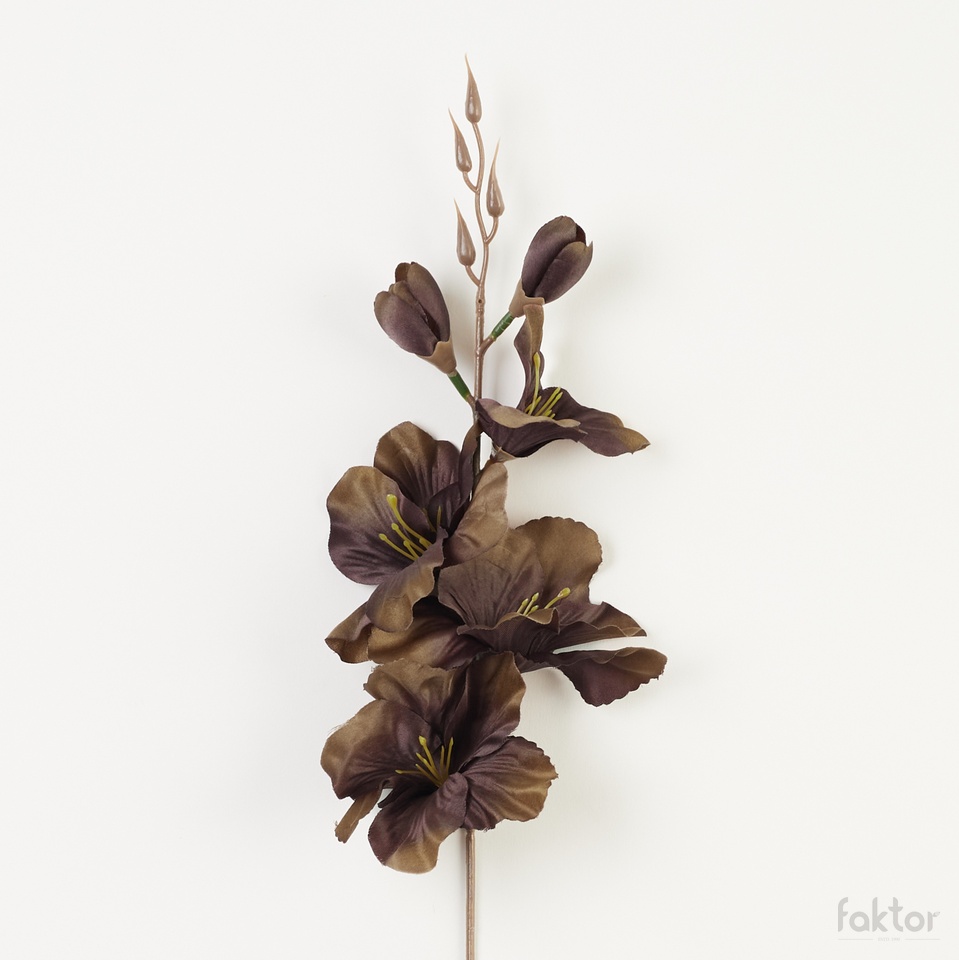 Mieczyk – pik satyna (12 szt.), autumn tt. brown W183-61
