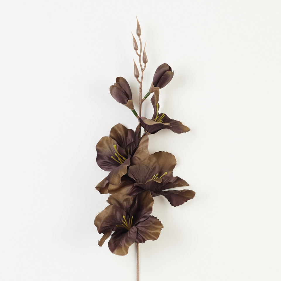 Mieczyk – pik satyna, autumn tt. brown W183-61