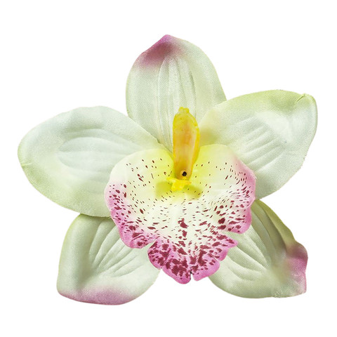 Storczyk - główka 14 cm, cream/pink W017-36