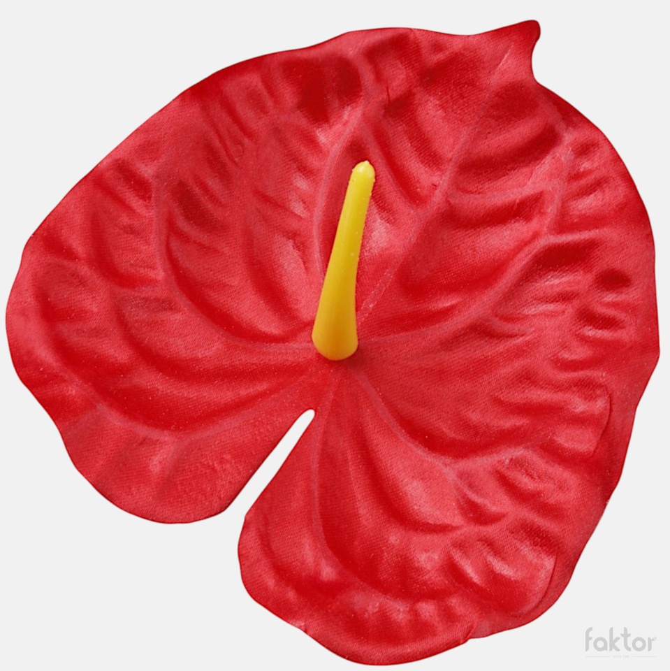 Anthurium, Red W749-01