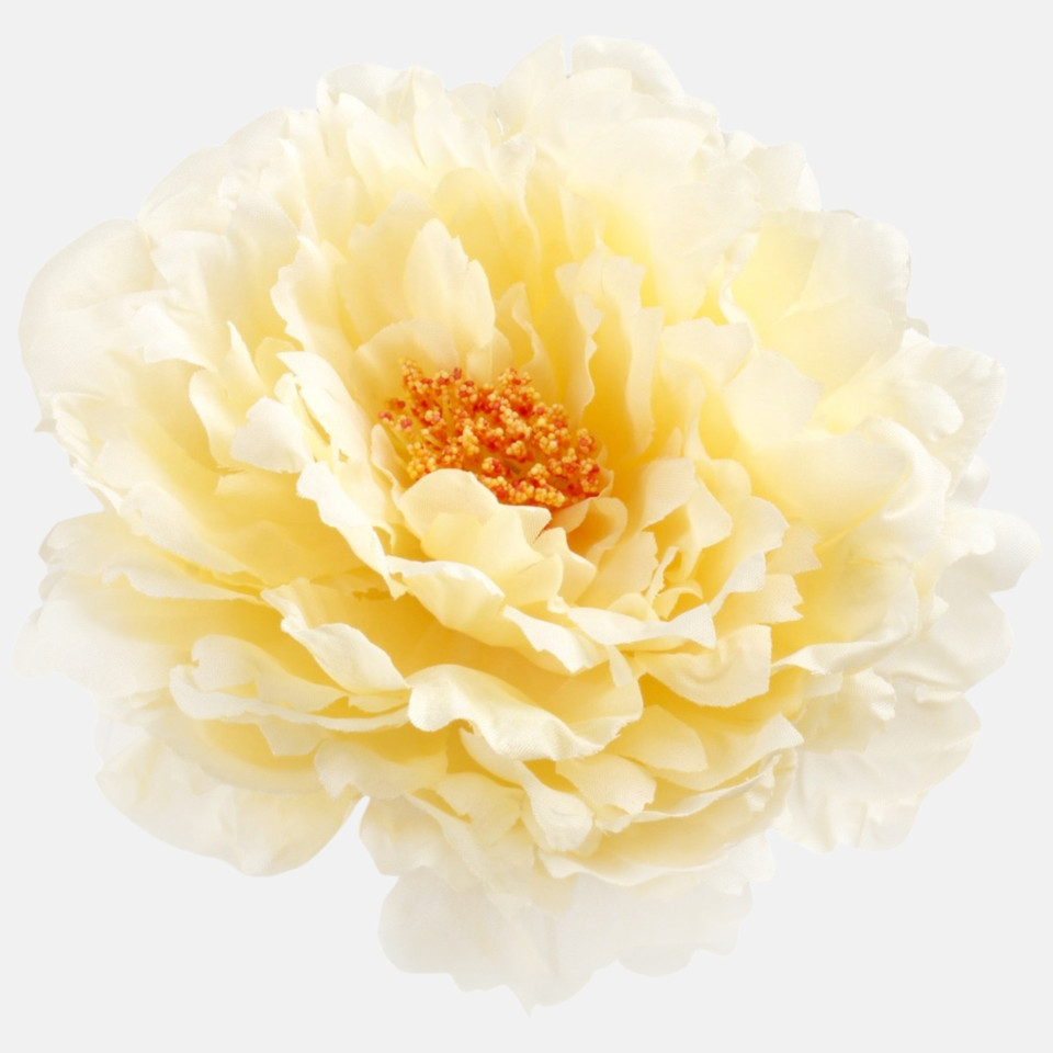 Peony, Yellow W615-02