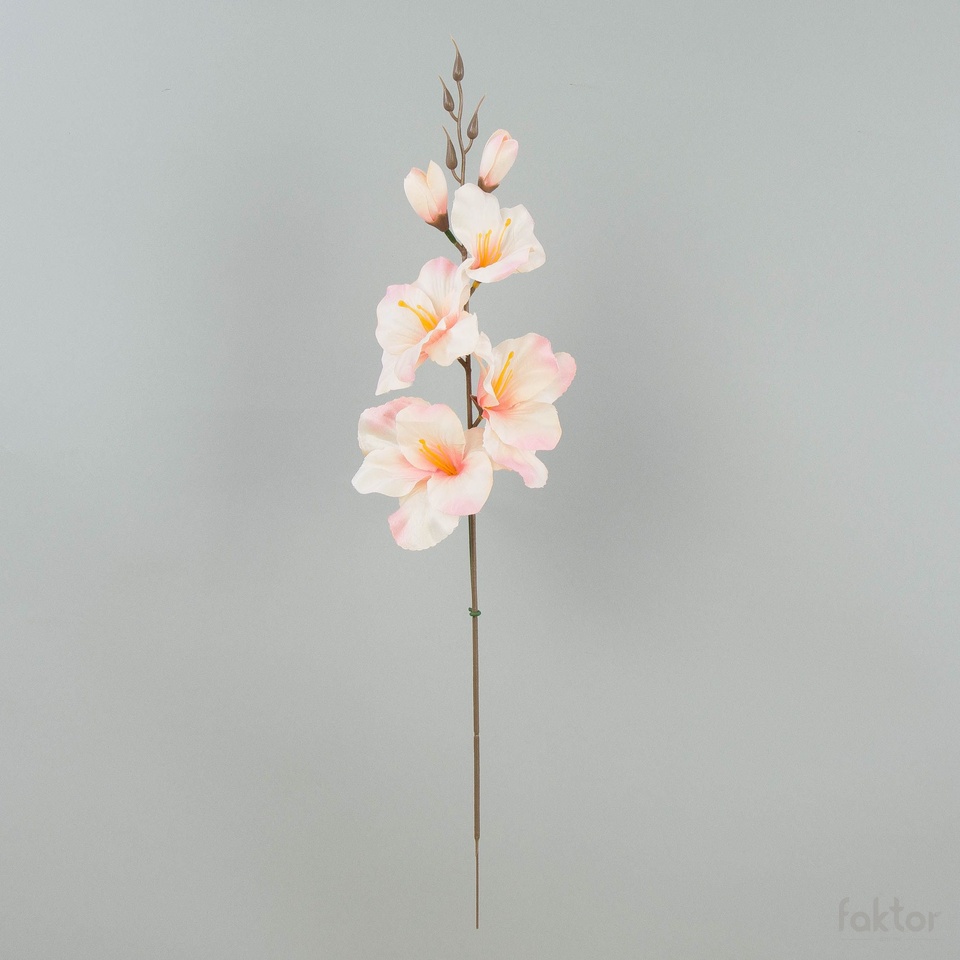 Mieczyk – pik satyna (12 szt.), autumn cream/pink W183-53