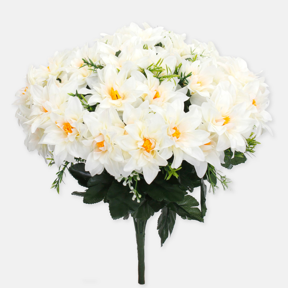 Dahlia x 36, Mix 1 QA083-01
