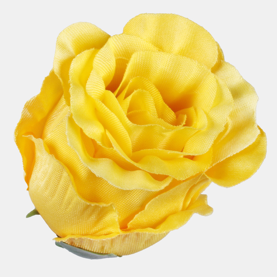 Róża w pąku, Yellow W681-04