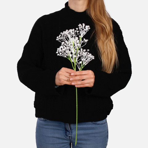 Gypsophila G193