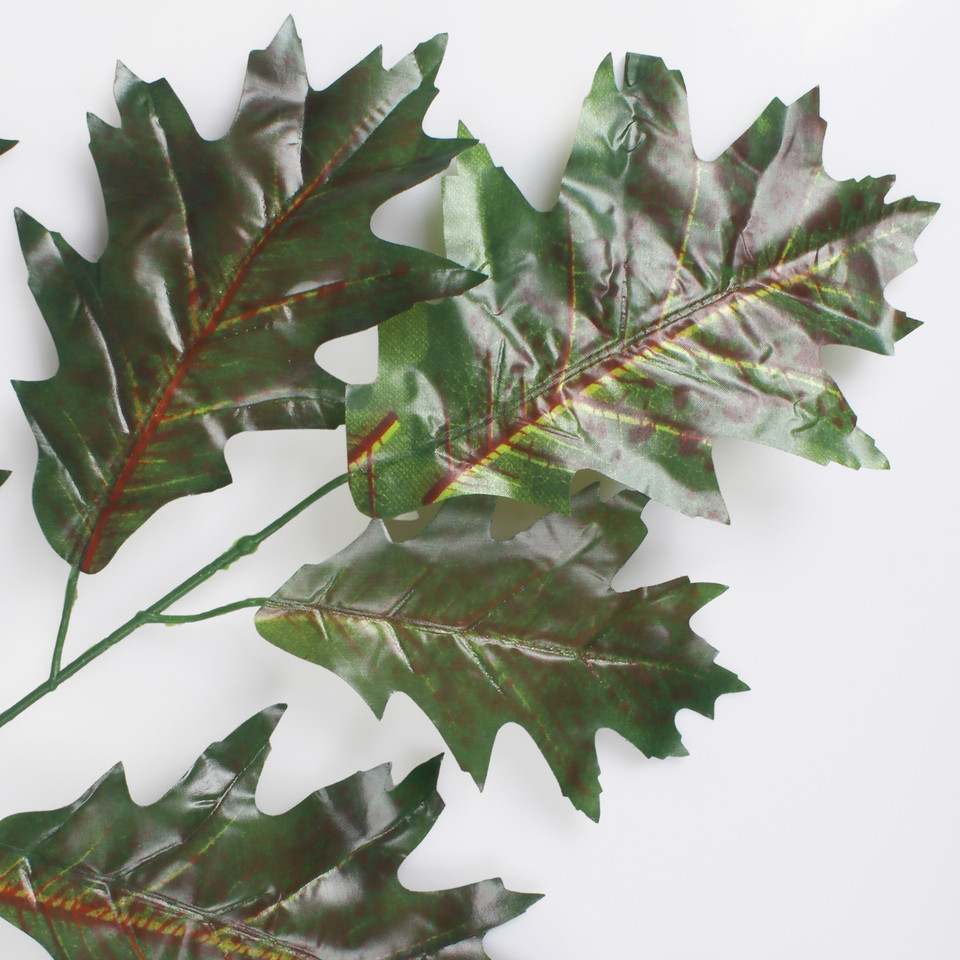 Oak, Green F222-01