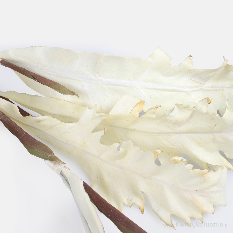 Artificial autumn corn stalks, Mix 1 A760Y-01