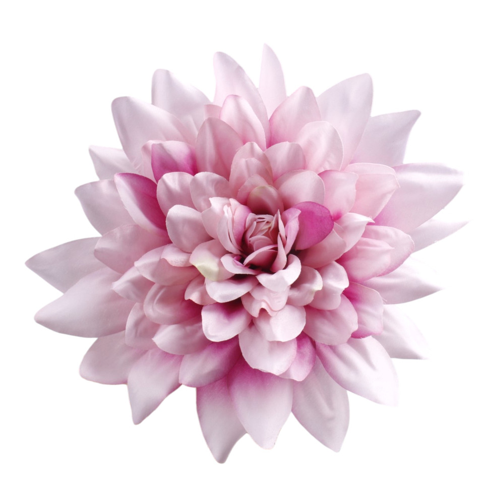Dalia, Pink/Plum W170-26