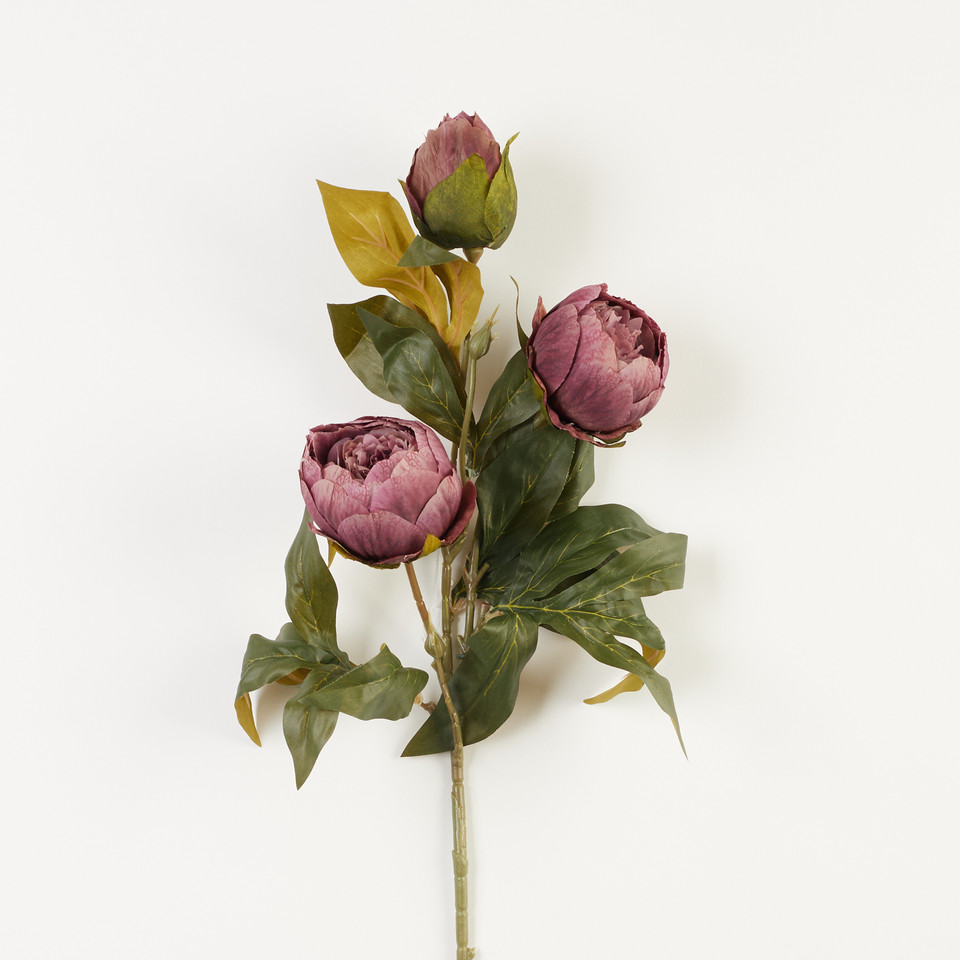 Peonia – gałązka x3, 36 B38-36