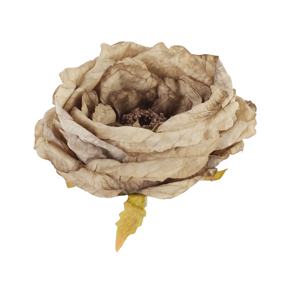 Peonia - główka, 05 light brown B126-05