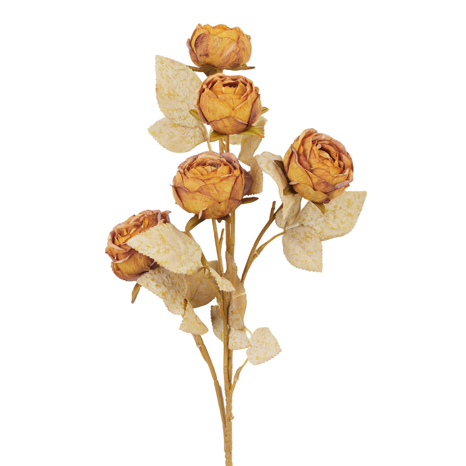 Peonia - gałązka x5 66 cm, 14 autumn yellow UJ57-14