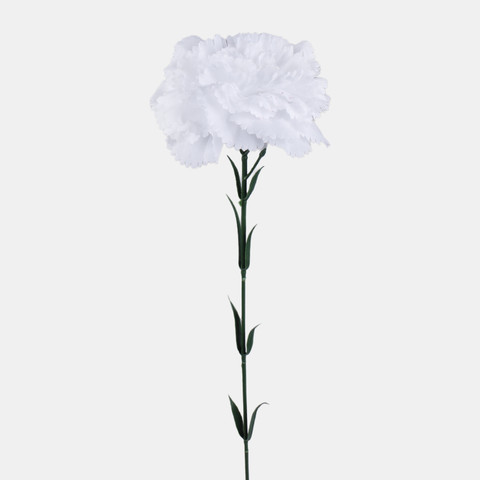Goździk, Pure White G392-02