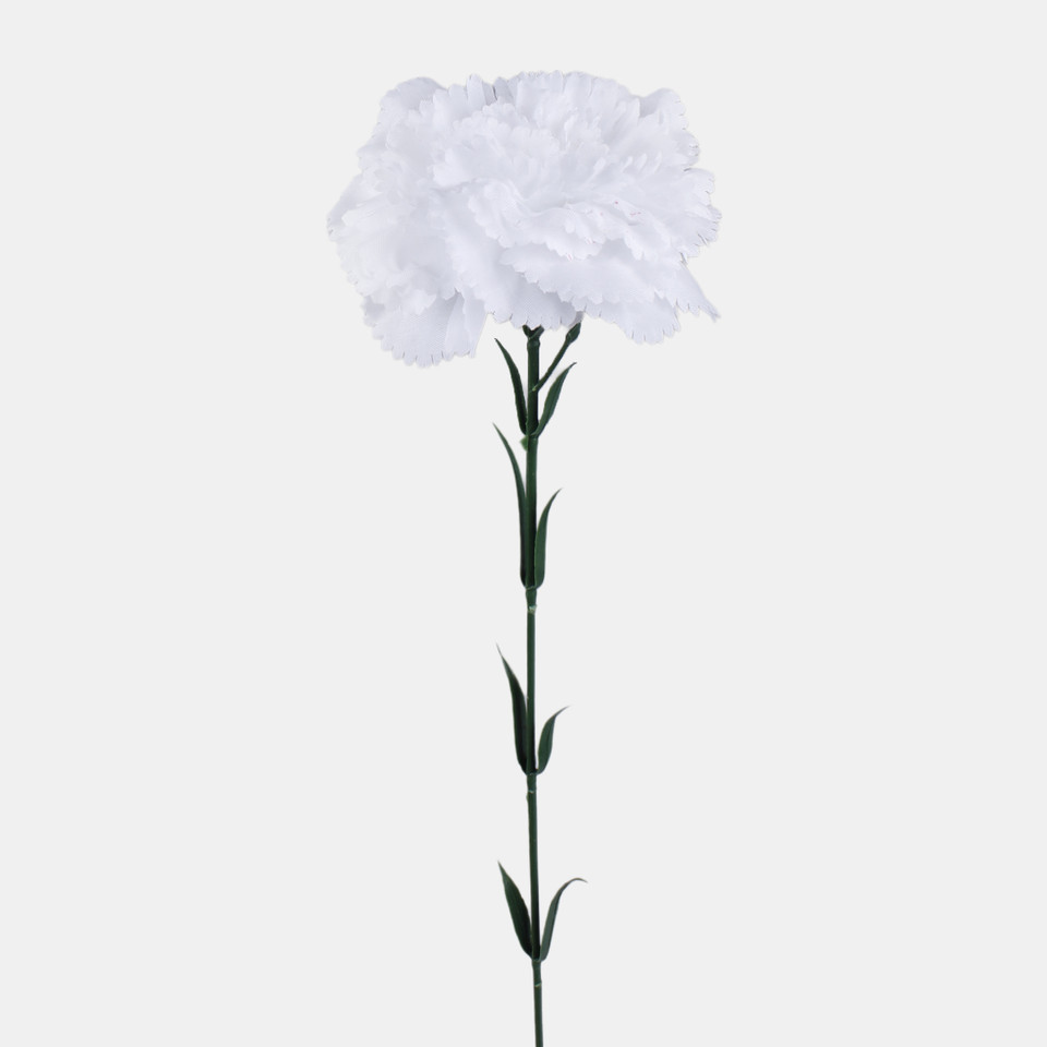 Goździk, Pure White G392-02