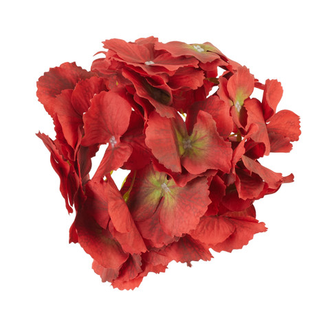 Hydrangea, #14 B152-14