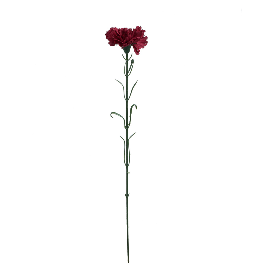 Goździk - gałązka 54 cm, m2 GK148-m2
