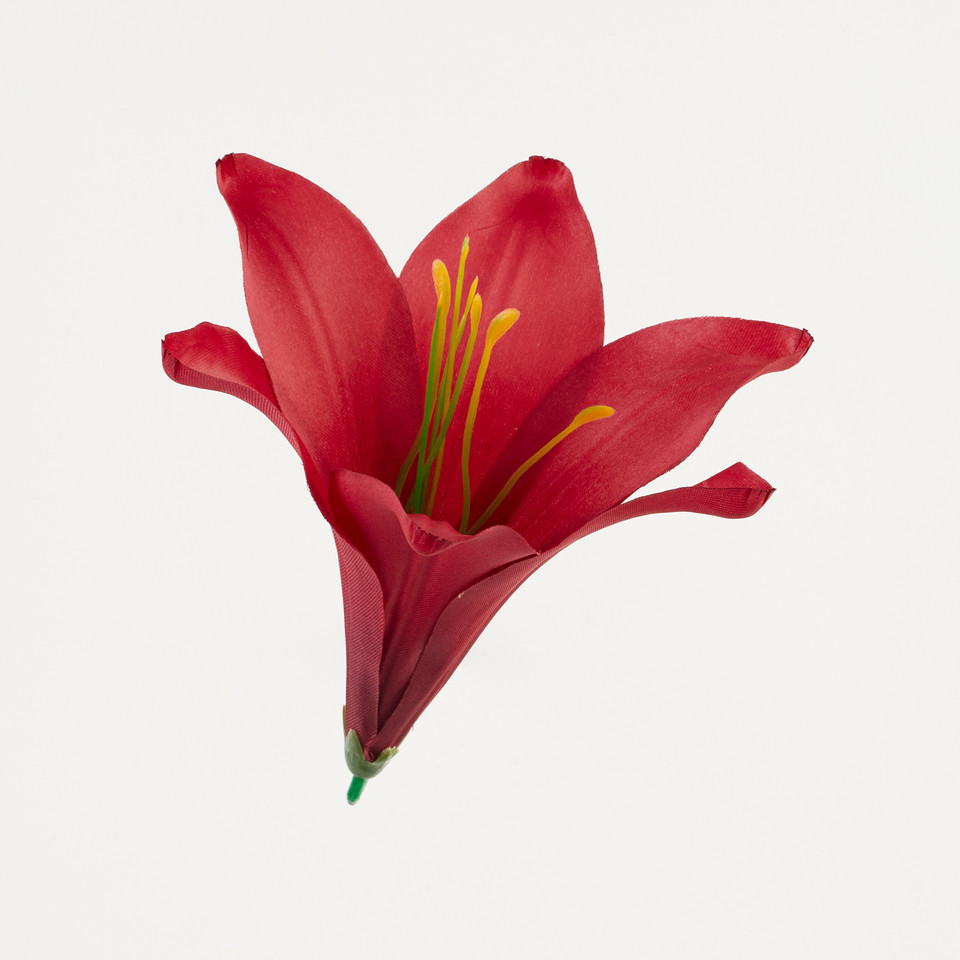Lilia – główka satyna, heavy red B276-017