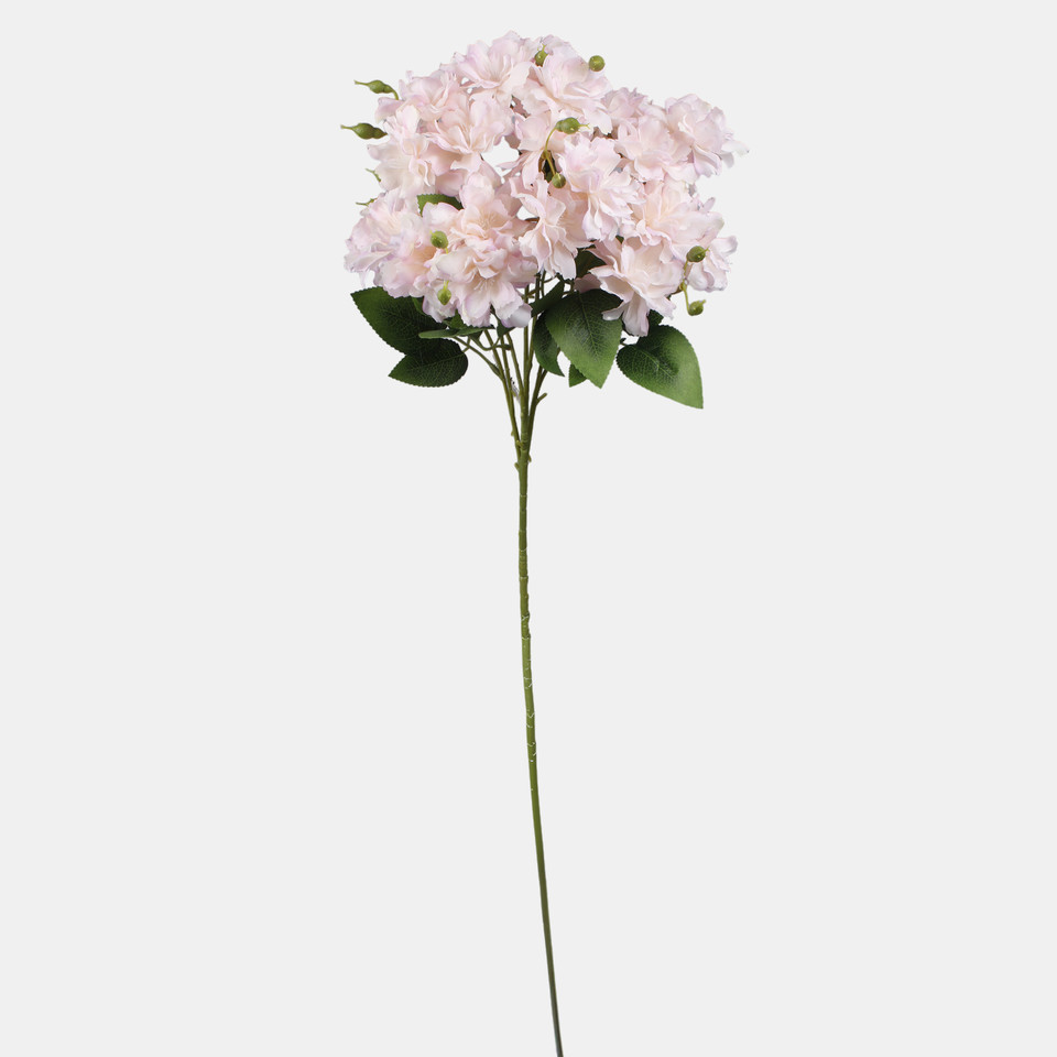 Azalia, Lt. Peach/Lt. Pink L894-03