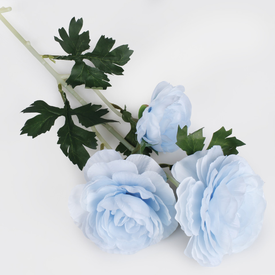 Kamelia x 3, Mix 1 L823-01