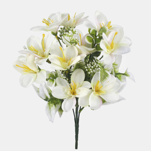 Freesia x 5 QA306