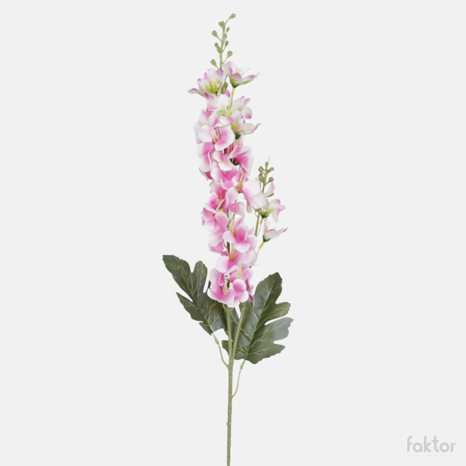 Delphinium, Mix BK244-01