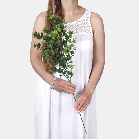 Eucalyptus F249 (Product size)