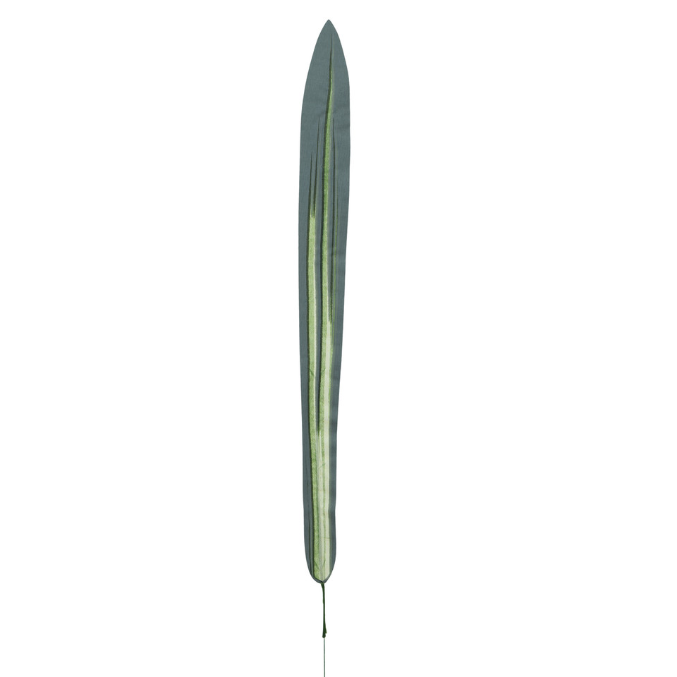 Dracena - liść 65 cm L606-00