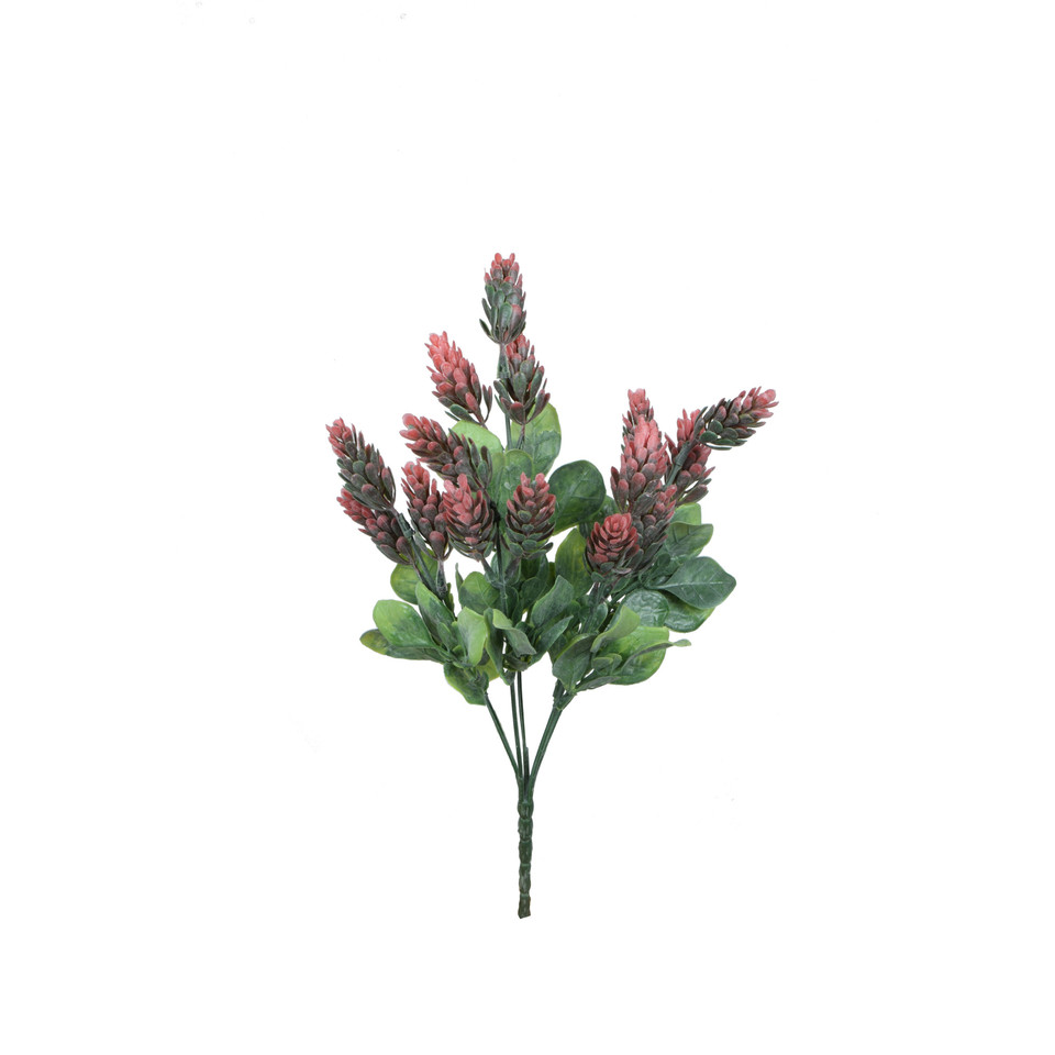 Chmiel - bukiet 30 cm, m R575-m