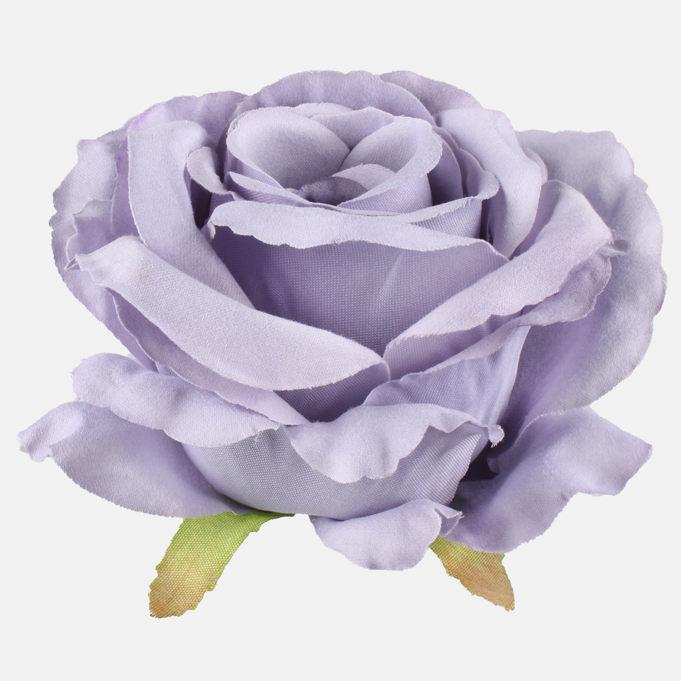 Rose, Autumn Lilac W697-15