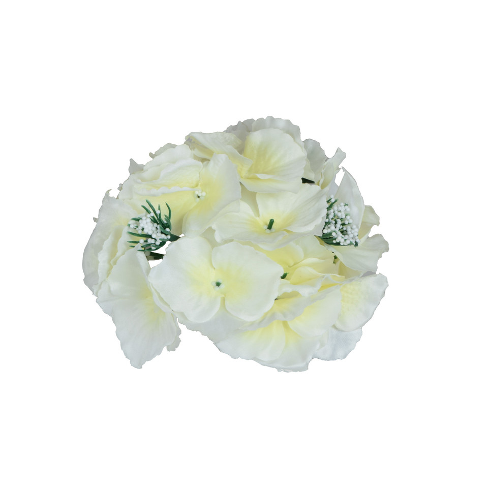 Hortensja, Lt. Yellow/White W152-03