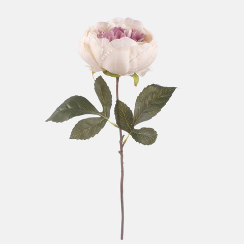 Peony, Mix 1 G472-01