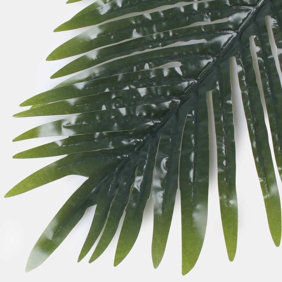 Palm leaf, Green F119