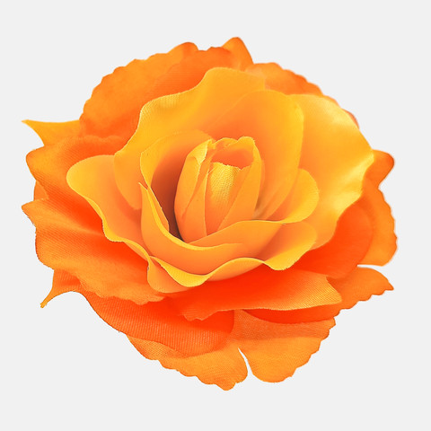 Rose, T.T. Orange W625-07