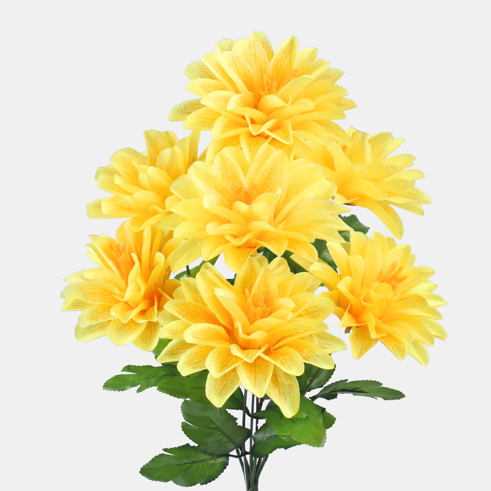 Dalia x 7, Yellow QA205-04