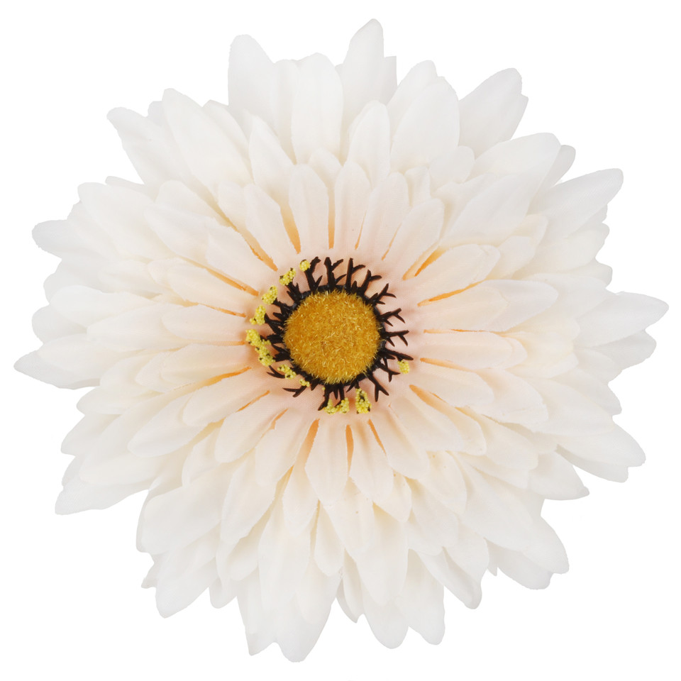 Gerbera  XXL, Cream/Peach W539-05
