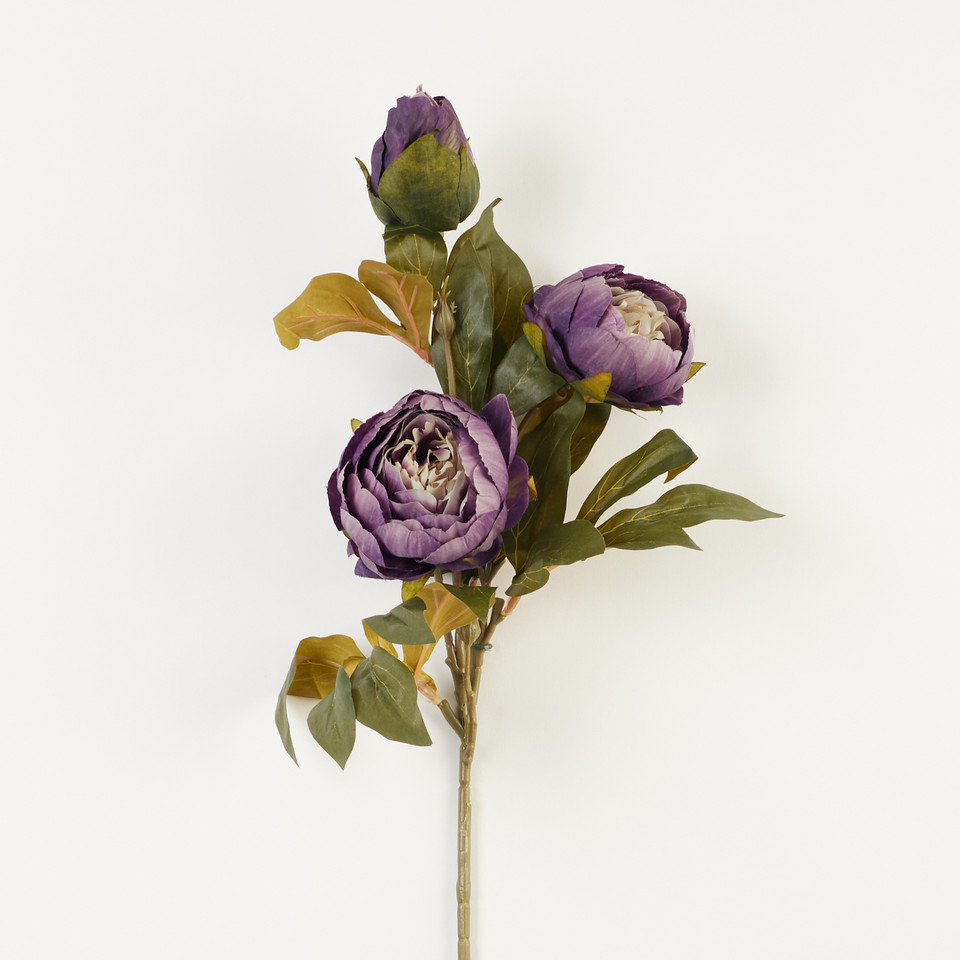 Peonia – gałązka x3, 17 B38-17