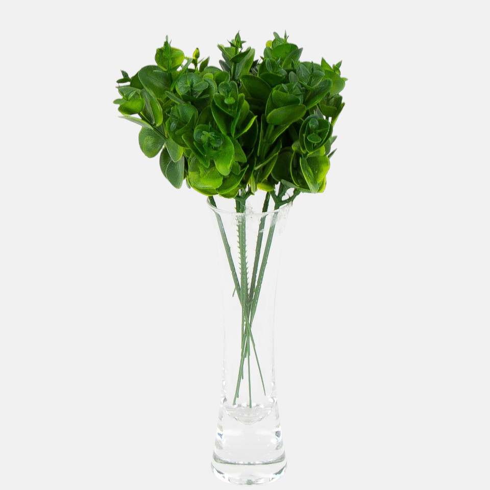 Eukaliptus, Green FB531-01