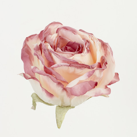 Rose, Pink/Green B92-07