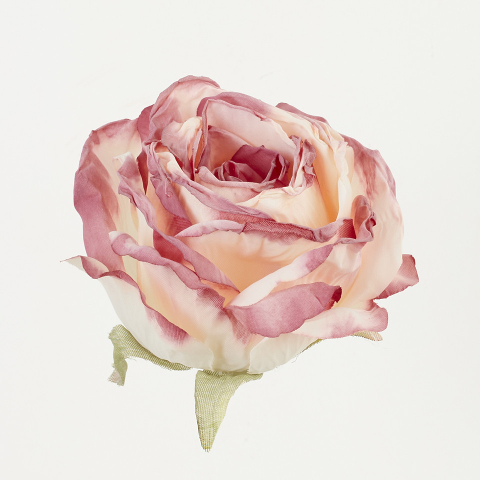 Róża, Pink/Green B92-07