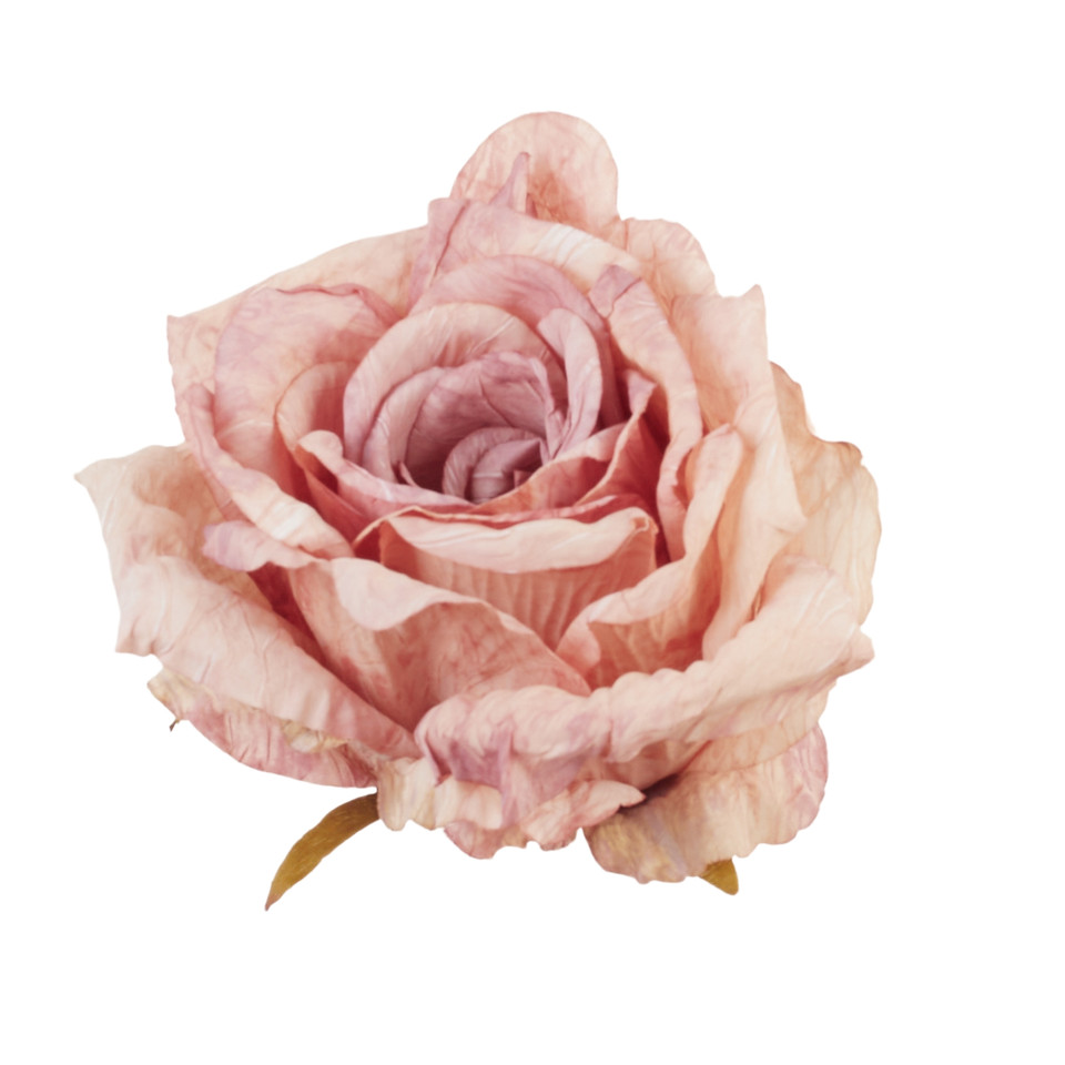 Róża - główka, 10 pastel pink B133-10
